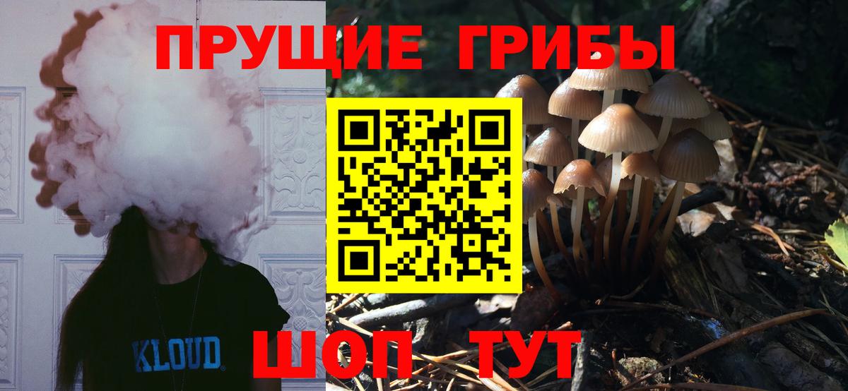 Псилоцибиновые грибы MAGIC MUSHROOMS Кохма